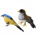 2x Mini Artificial Bird Decorative Crafts for Wedding Party Garen Decoration   302693963446